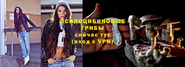 каннабис Белокуриха