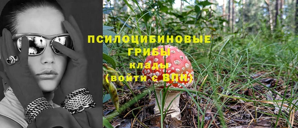 каннабис Белокуриха