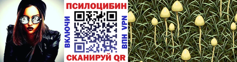 наркота  Ульяновск  Псилоцибиновые грибы Magic Shrooms 